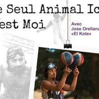 Cirque d'impro: Le seul animal ici, c'est moi