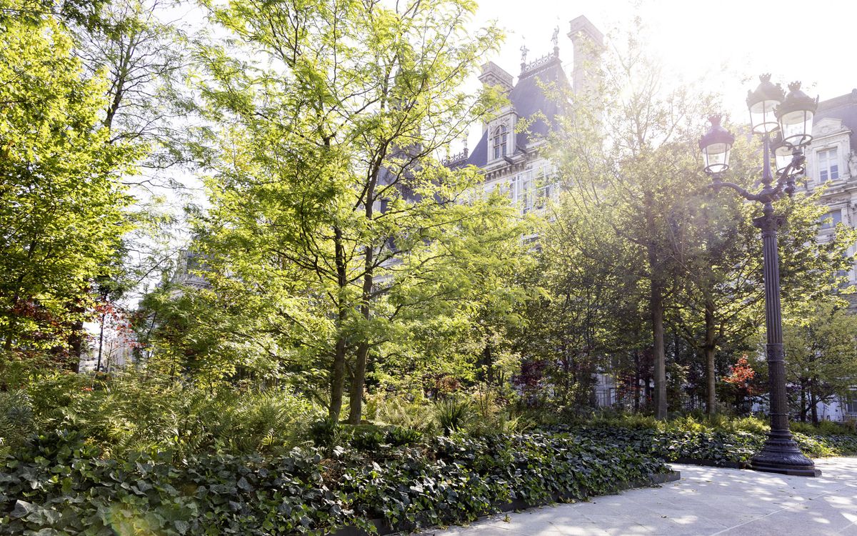 Les transformations végétales du Paris historique