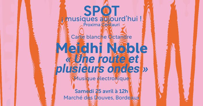 ¡SPOT! musique aujourd'hui - Meihdi Noble (Collectif Octandre)