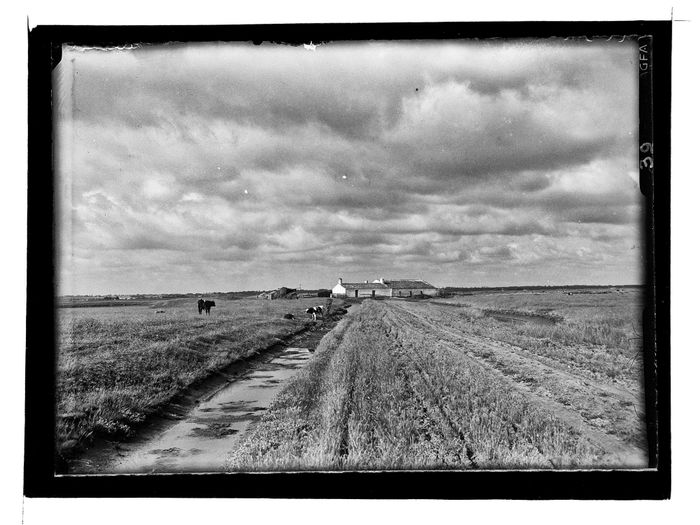 Cycle de conférences - Qu’est-ce que la photographie ?