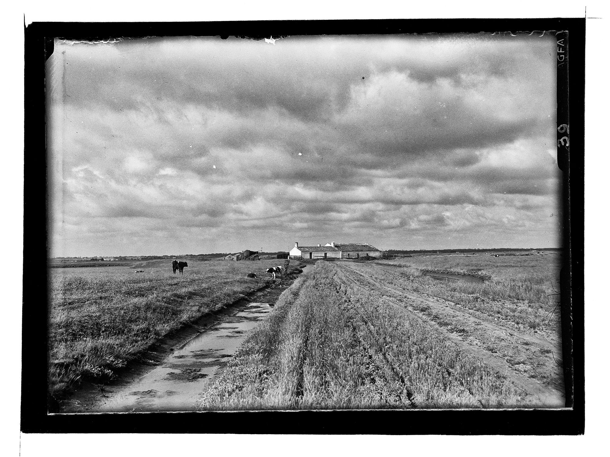 Cycle de conférences - Qu’est-ce que la photographie ?