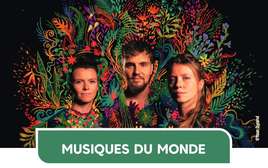 Musiques du Monde - Brazakuja