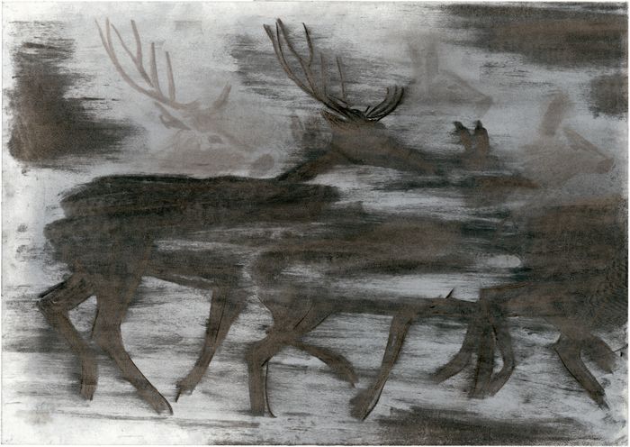208318eb834c43649707d4741f0b9e53.base.image.jpg