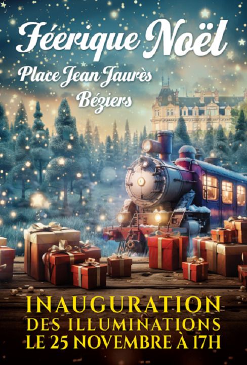 Illuminations de Noël