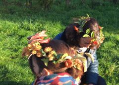 Partage entre Femmes et Forêt