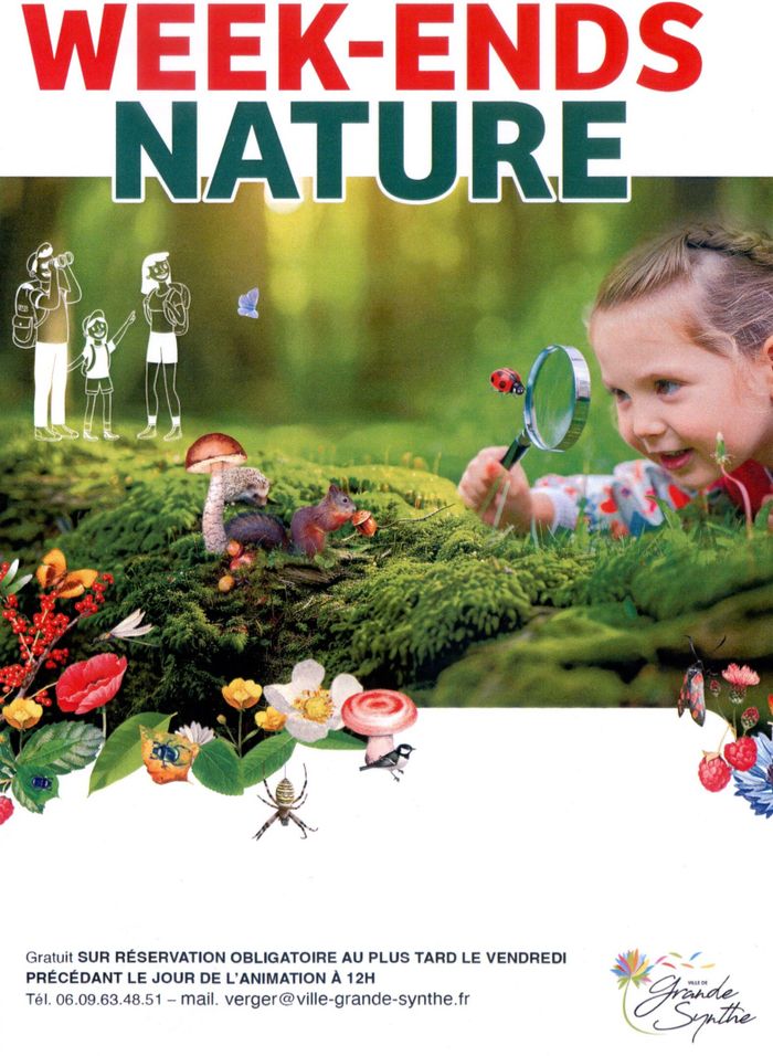 RANDO NATURE "AUTOUR DE GRANDE-SYNTHE"