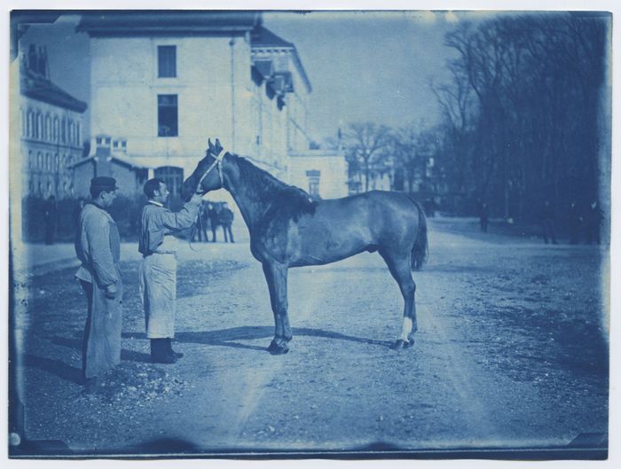 Atelier cyanotype "De l'archive à l'artiste: la photographie"