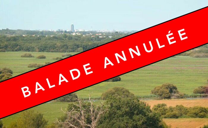 [ANNULATION] Balade archéologique et environnementale dans le marais de Goulaine