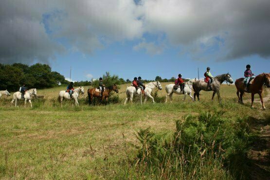 En pleine nature : cheval et aventure (Camp en breton, 7-13 ans)