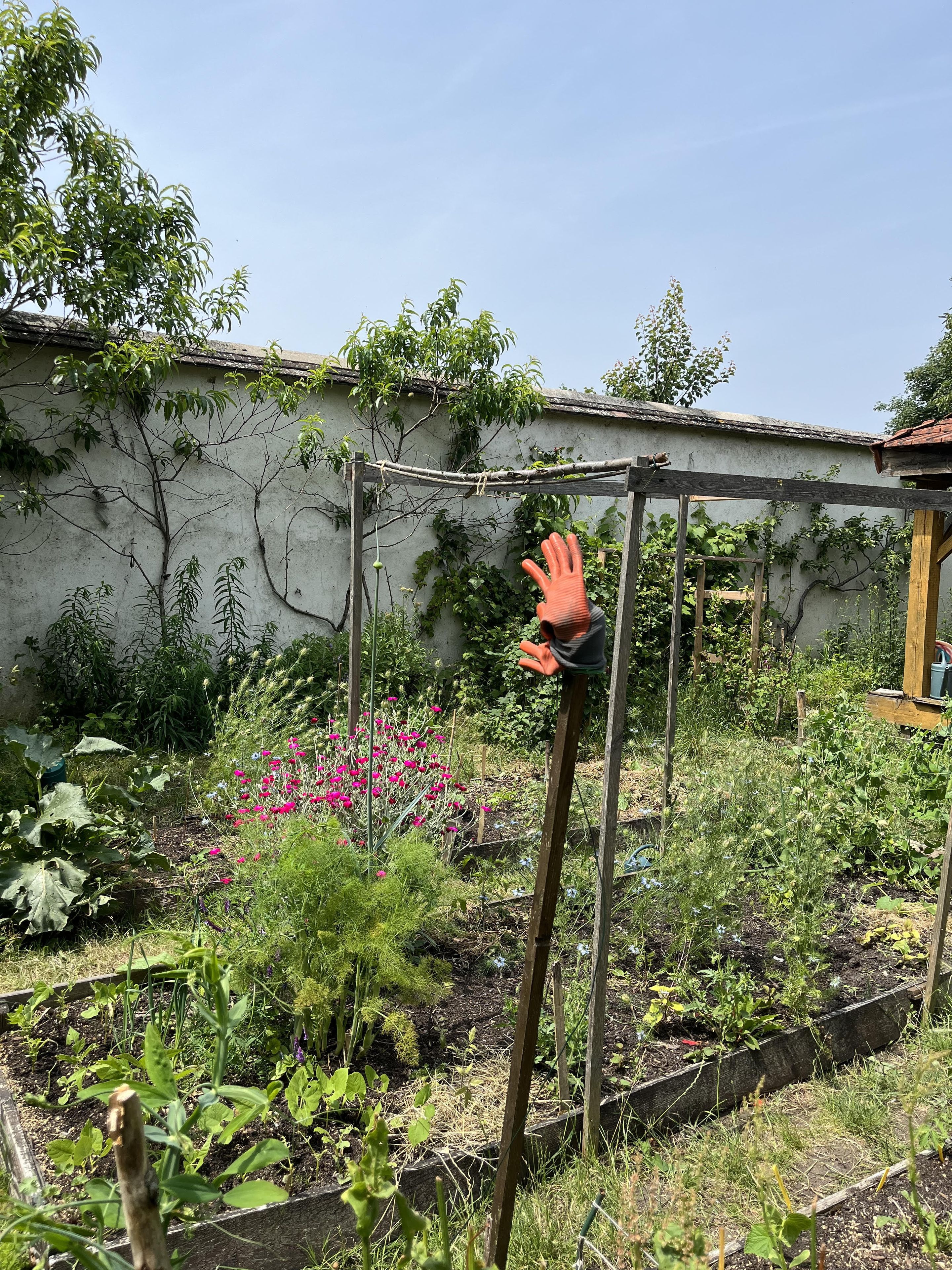 Ateliers de jardinage avec l'association de Culture(s) en Herbe(s)