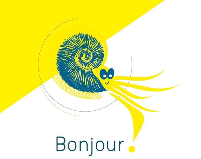 L’été des 6-12 ans : Sur les pas de l’ammonite