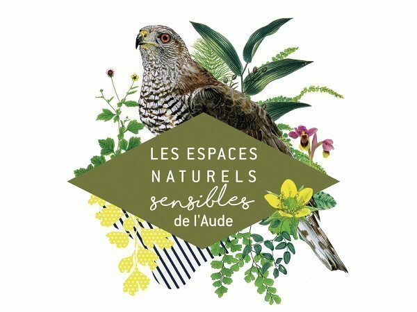 Ens – La Course Vers L’afrique