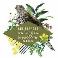 Ens – La Course Vers L’afrique
