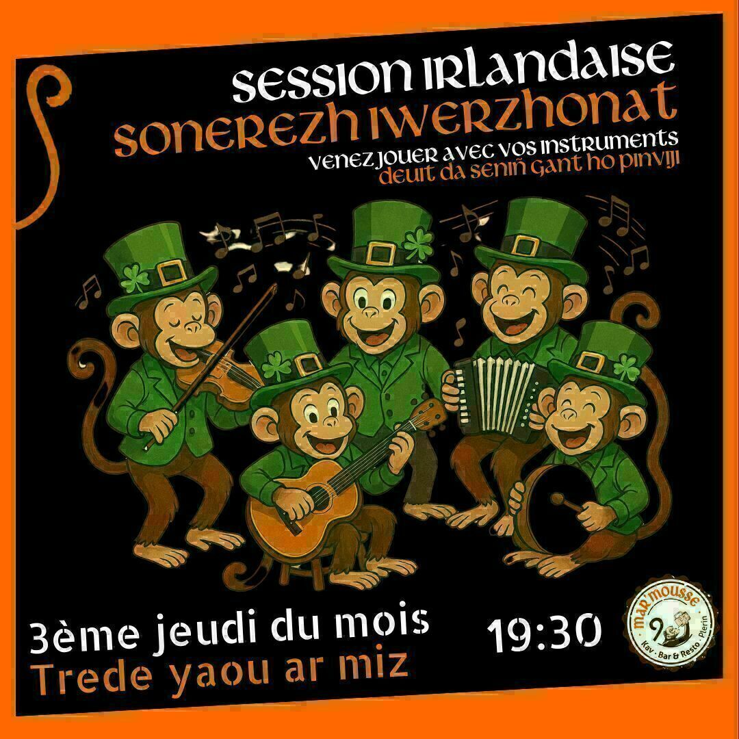 Session de musique irlandaise