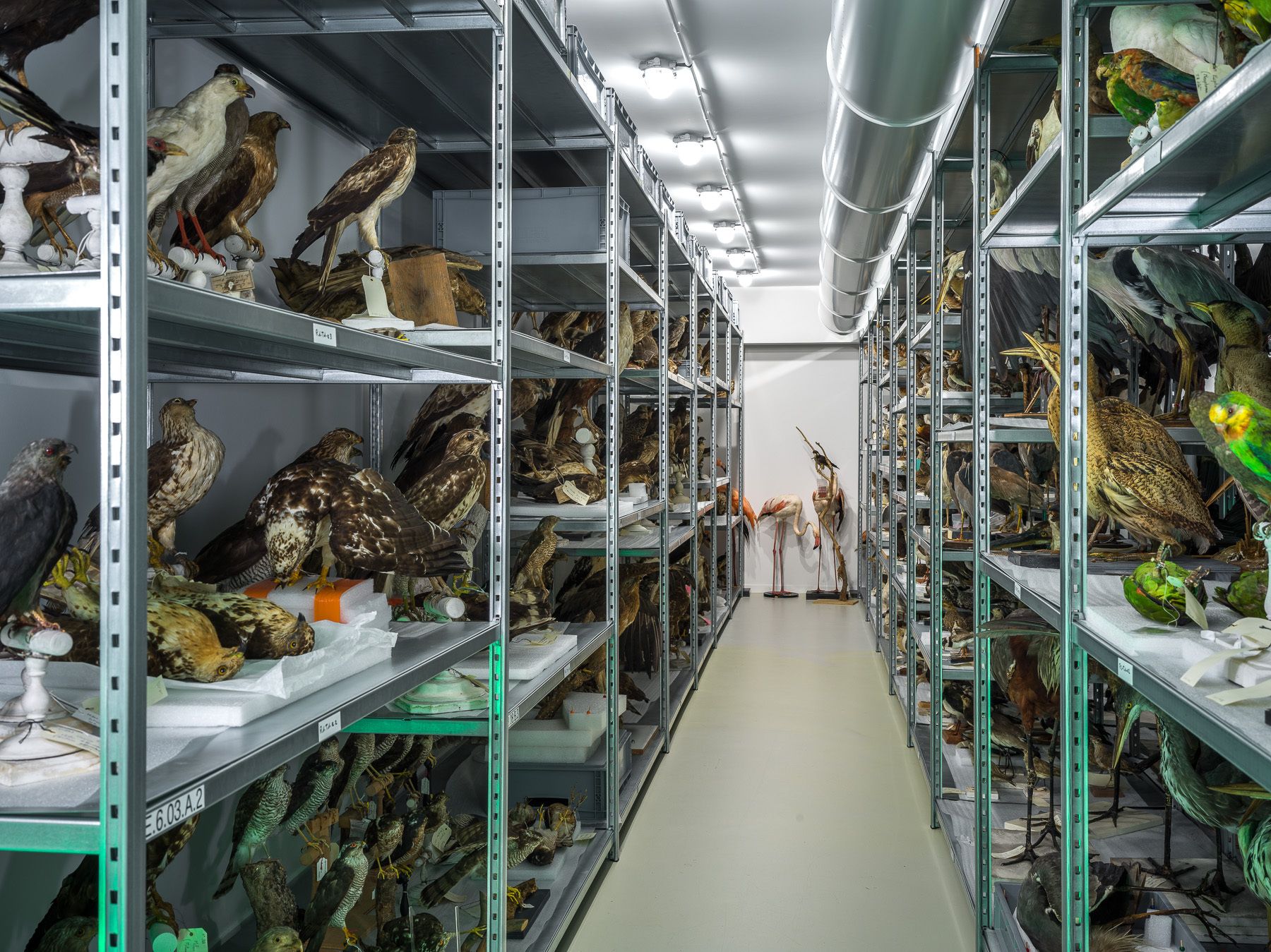 Visites guidées du centre de conservation