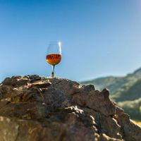 Apéritifs vignerons - Mon Club de Vin