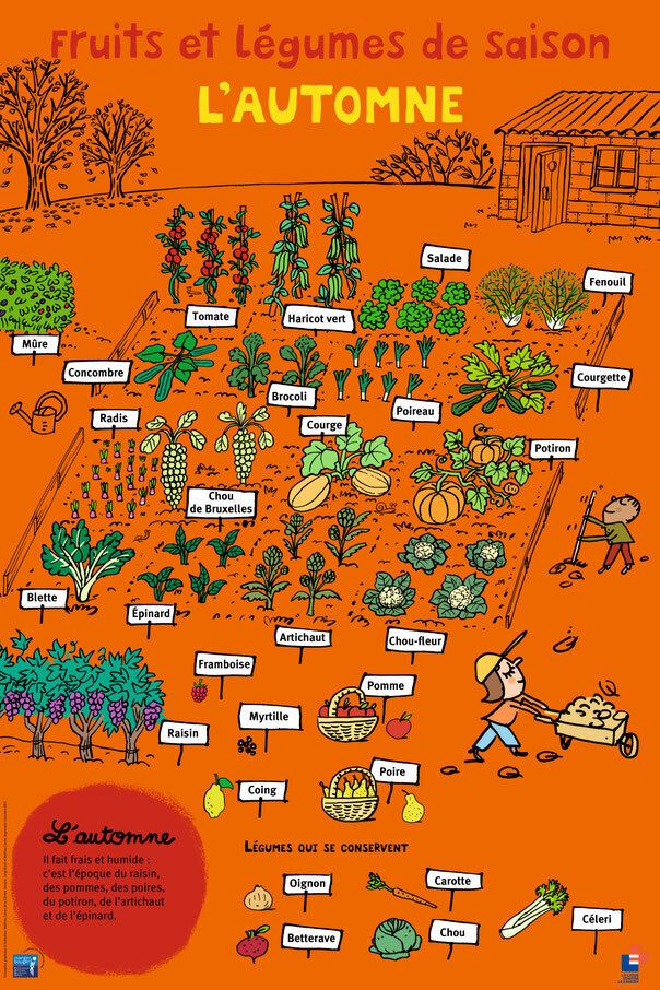 Visuel évènement