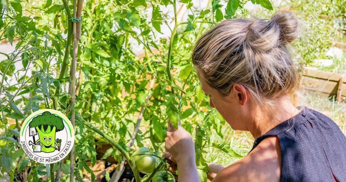 Un beau jardin, grâce aux feuilles et végétaux de fin d'année