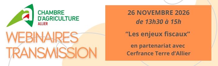 LES ENJEUX FISCAUX