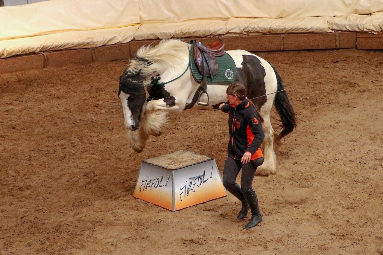 Portes ouvertes et démonstration à Firfol, lieu de tournage de la série ‘’Au galop’’