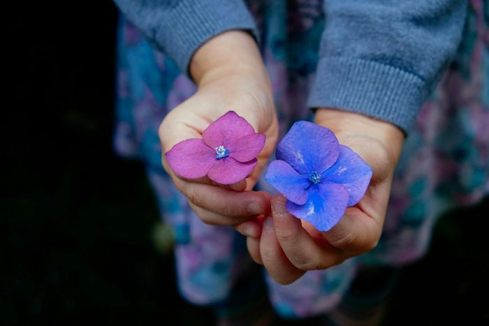 Défi  « Jouer avec la nature »