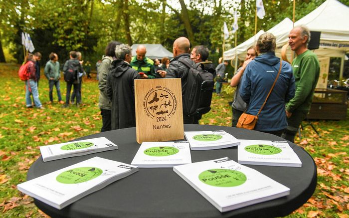 Arbre et biodiversité : les coups de pousse à la nature - Biodivers'été