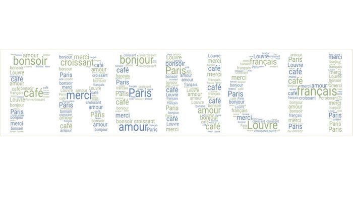 دورة فرنسية للشبيبة