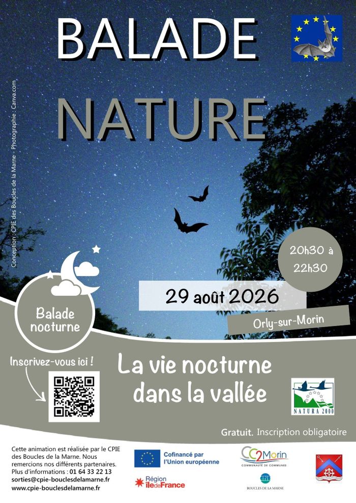 La vie nocturne dans la vallée