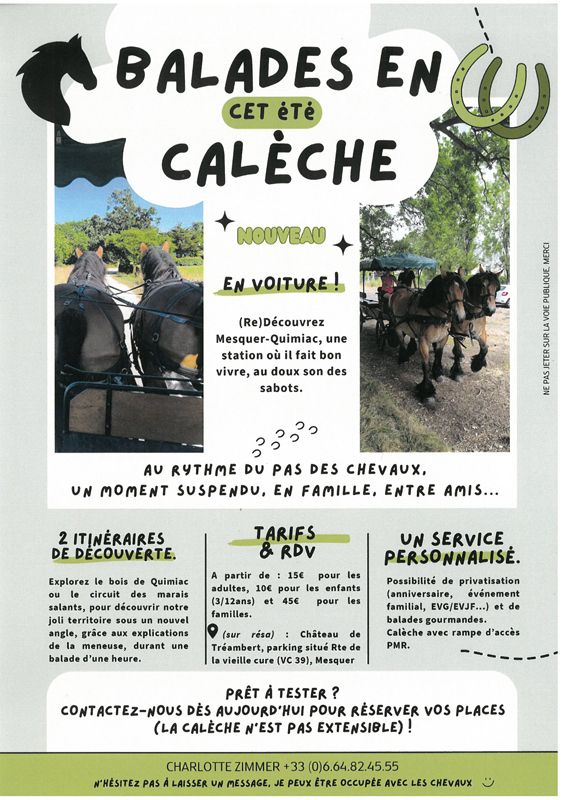 Balades en calèche