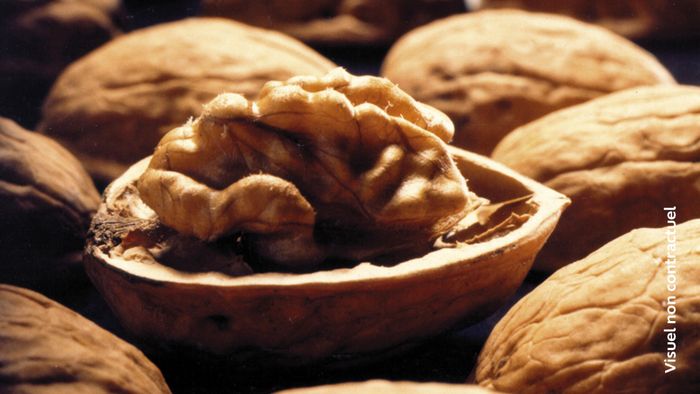 Noix, noisettes et pruneaux de Nouvelle-Aquitaine et vins du monde