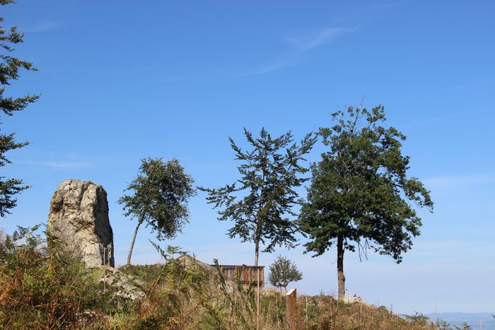 Balade contée sur les chemins du bois des Gaulois et du Sylvetum de Marols