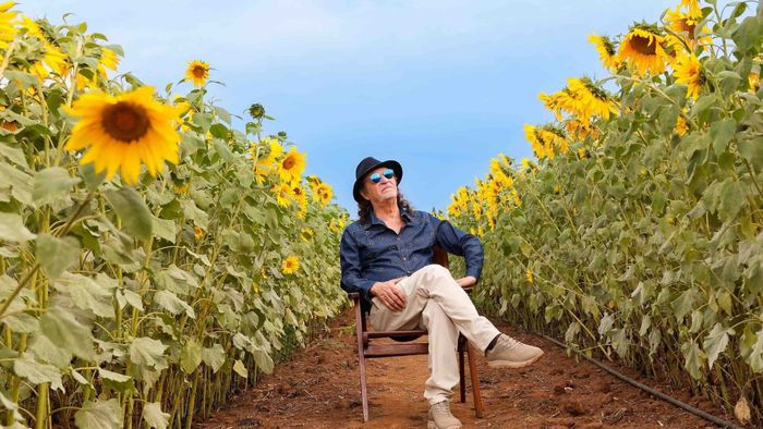 ALCEU VALENÇA – 80 Sunflowers Tour