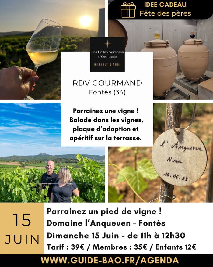 Parrainez un pied de vigne au Domaine Anqueven !