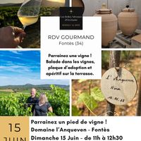 Parrainez un pied de vigne au Domaine Anqueven !