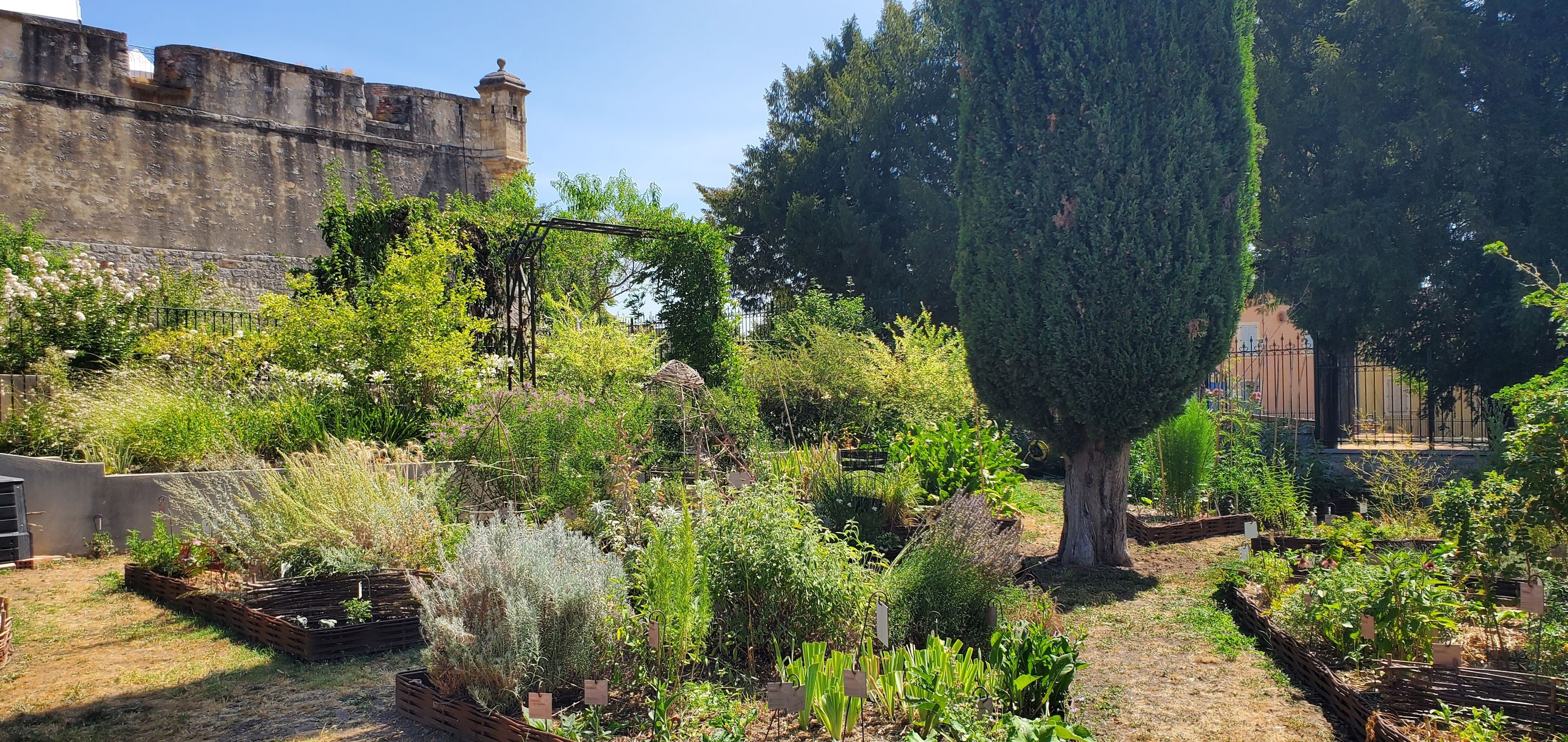 Visite commentée : jardin résiliant et adaptation au changement climatique