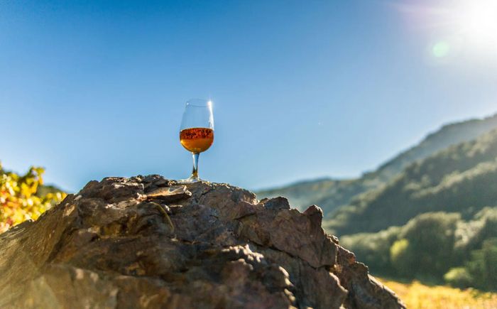 Apéritif Vigneron