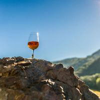 Apéritif Vigneron