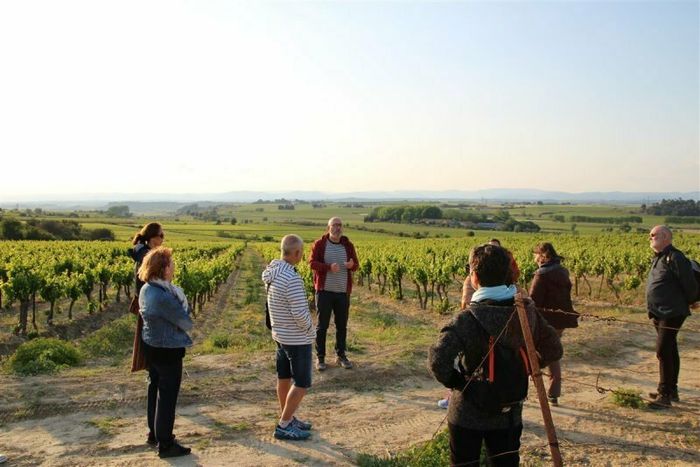 Vendredis golden hour au domaine de soustres