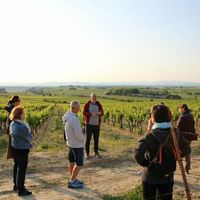 Vendredis golden hour au domaine de soustres