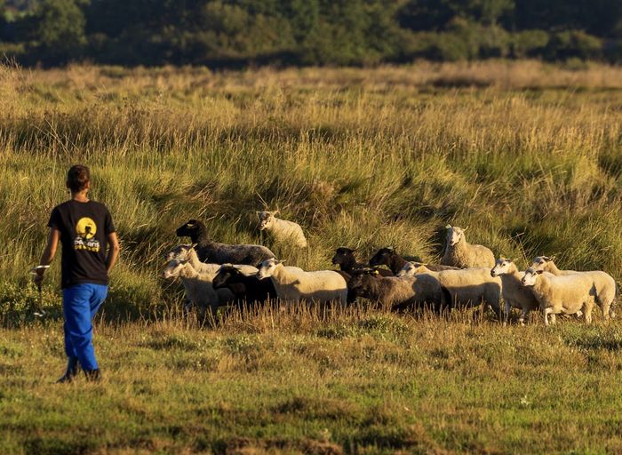 Formation "Multiplier et faciliter les installations vertueuses pour l'environnement en Presqu'île Guérandaise et à Saint-Nazaire »