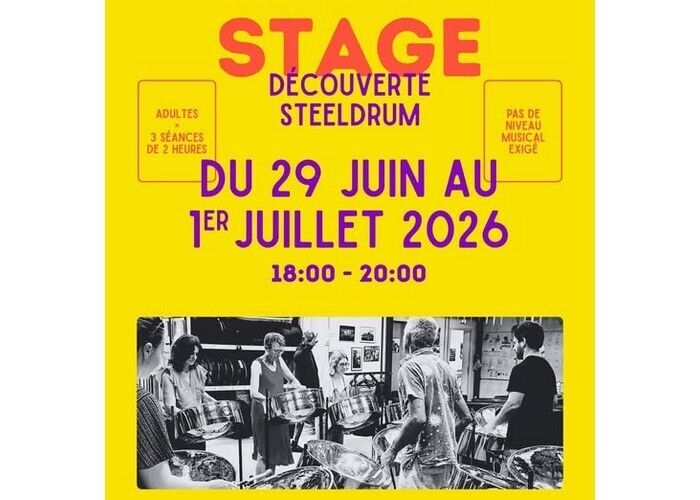 Stage de découverte du steeldrum