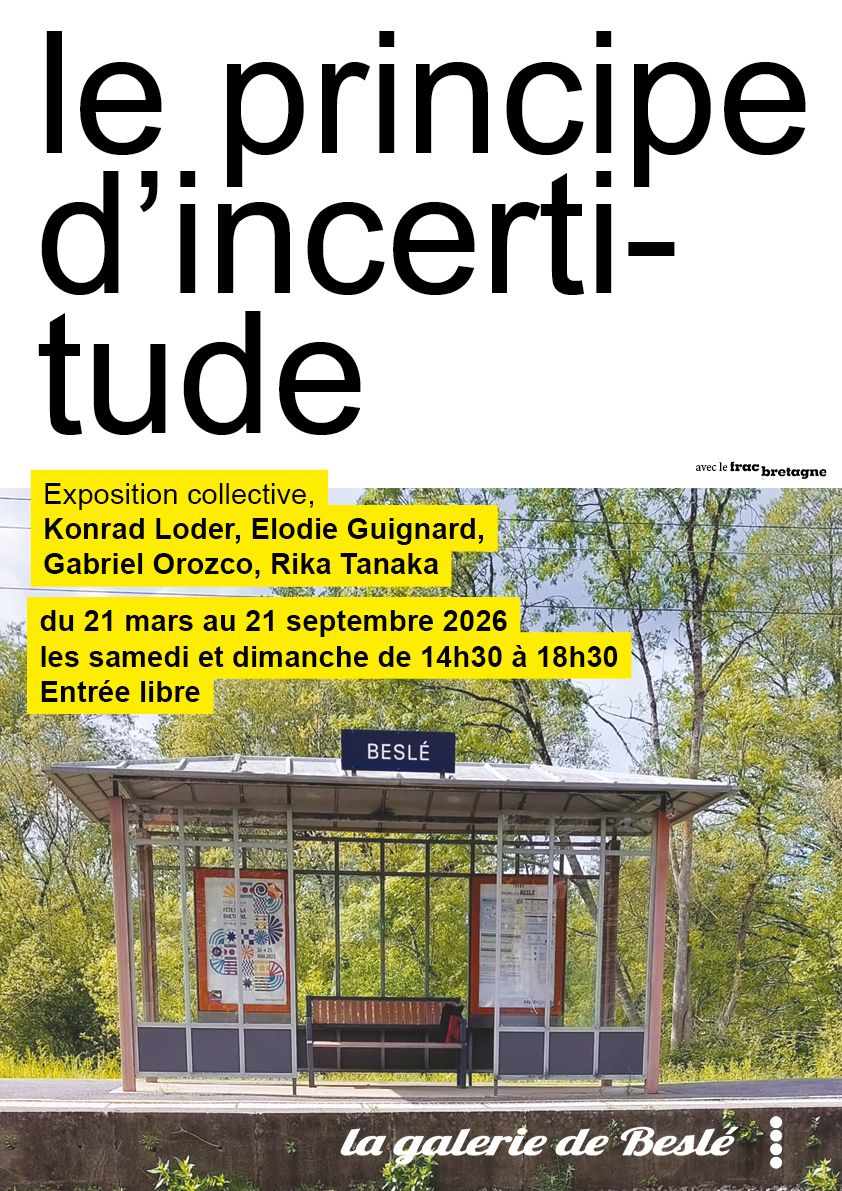Visite commentée de l'exposition "le principe d'incertitude" à la galerie de Beslé.