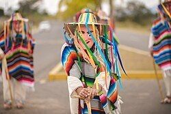 Danza de los viejitos