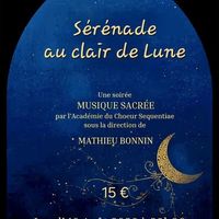 Sérénade au clair de lune