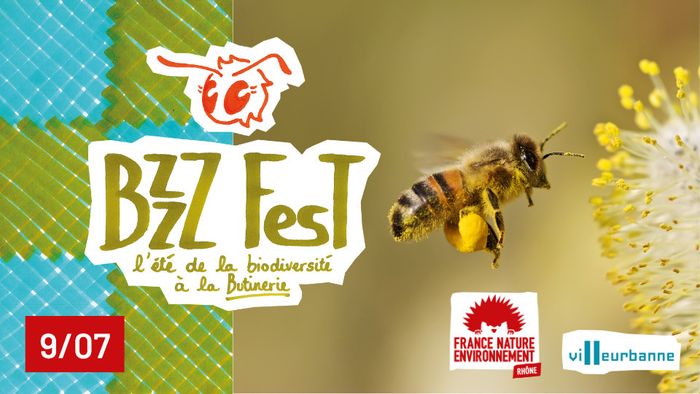 28a87d3b6a604607a7bc04f3375fa2c2.base.image.jpg