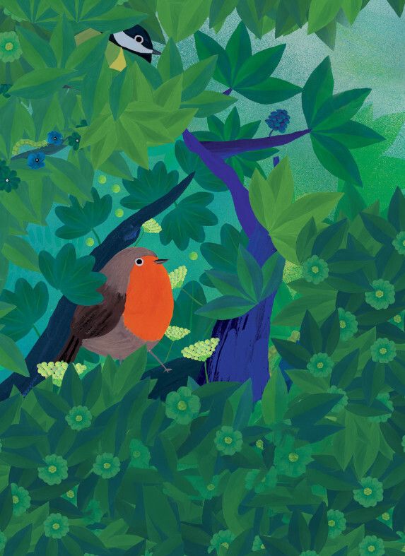 Observons les oiseaux