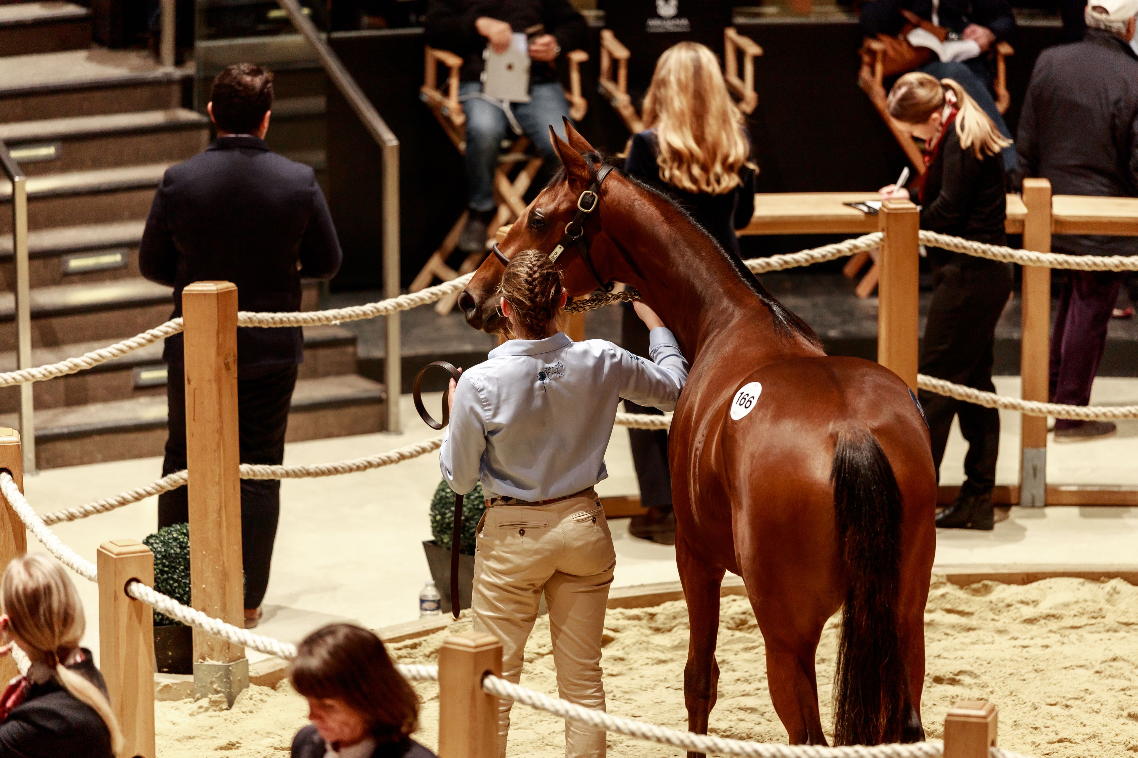 Les Equidays : Visite guidée des ventes de yearlings d'octobre d'Arqana