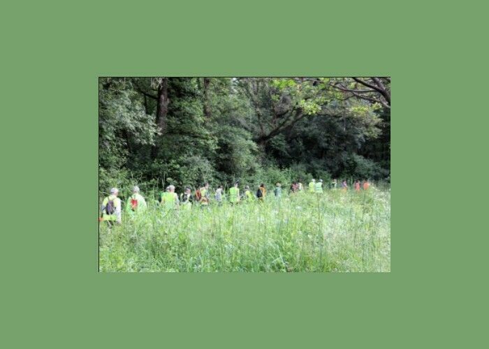 Les Randos d'été du Jeudi