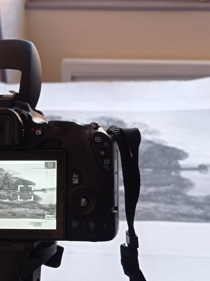 Les coulisses du musée "Conservation et collections"