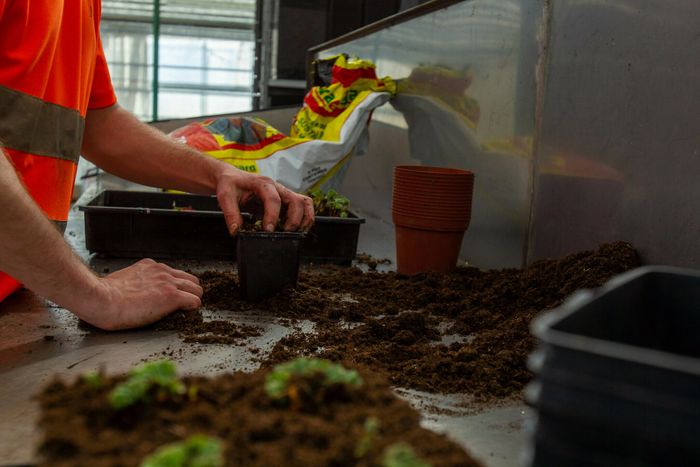 Apprendre les gestes du jardinage